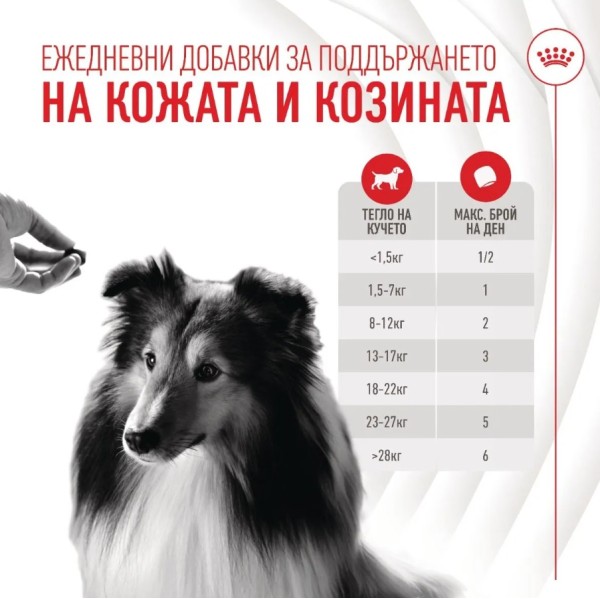 Royal Canin Adult Dog Skin n Coat Supplement - Хранителна добавка за кучета за кожа и козина - 240 гр